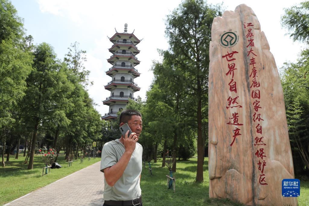 皇冠登录网